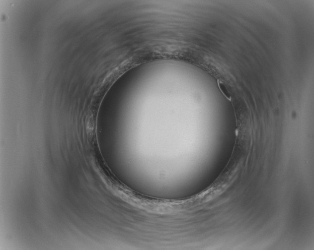 X0000087680040200705181741