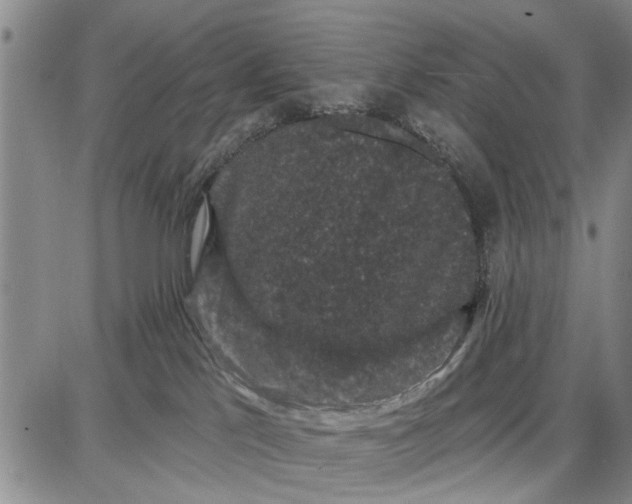 X0000087680041200705181740