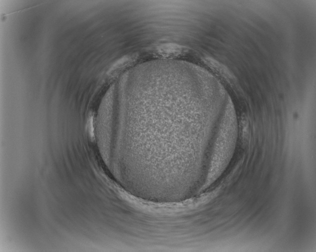 X0000087680042200705181740