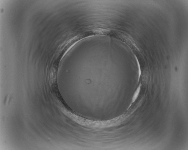 X0000087680043200705181740