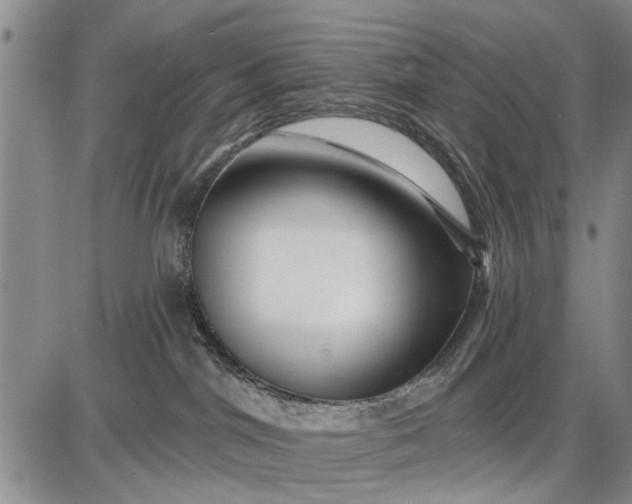 X0000087680044200705181740