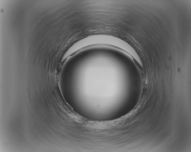 X0000087680045200705181740