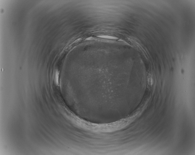 X0000087680046200705181740