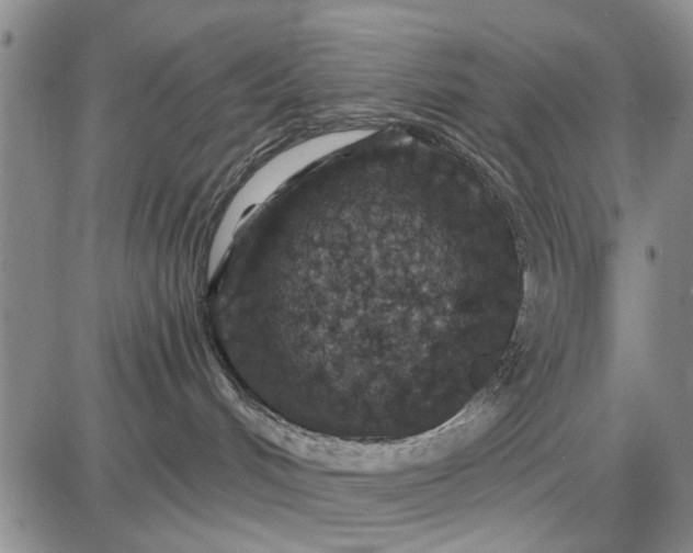 X0000087680048200705181740