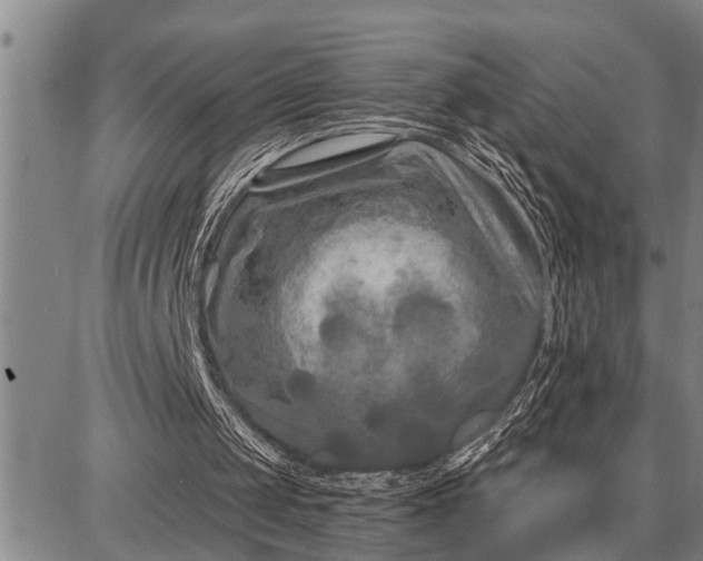 X0000087680049200705181740