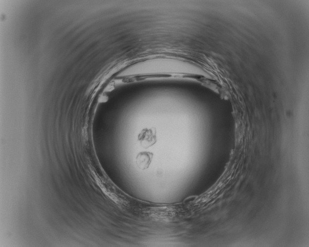 X0000087680050200705181740