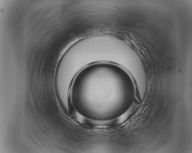 X0000087680052200705181740