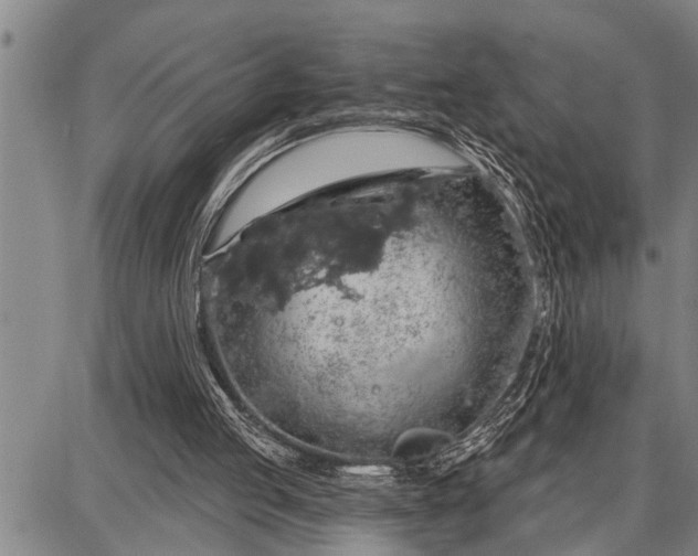 X0000087680053200705181740