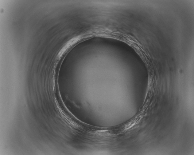 X0000087680054200705181740