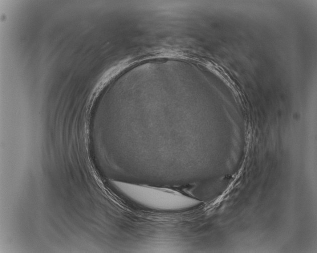 X0000087680055200705181740