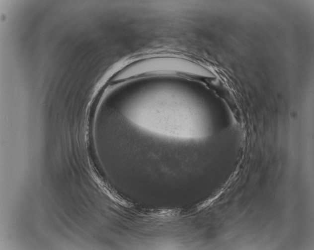 X0000087680056200705181740