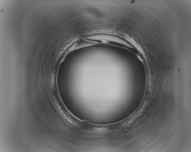 X0000087680057200705181740