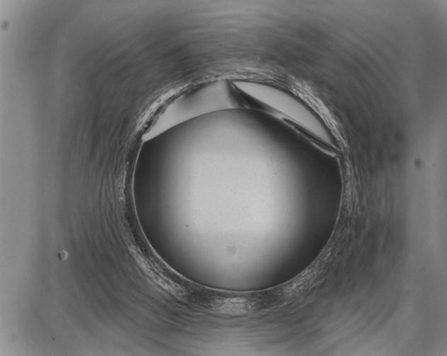 X0000087680058200705181740