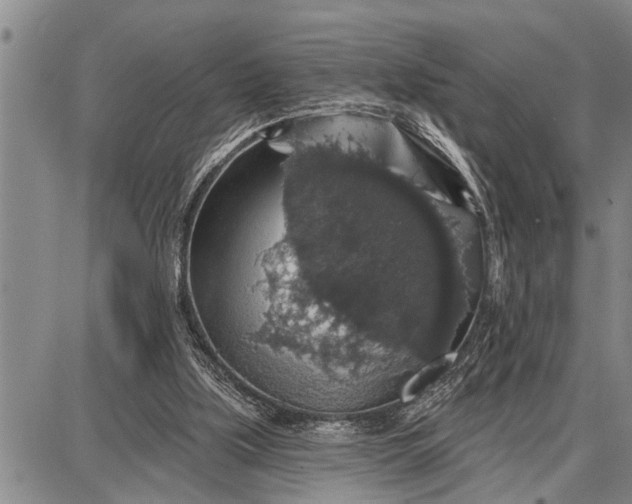 X0000087680059200705181740