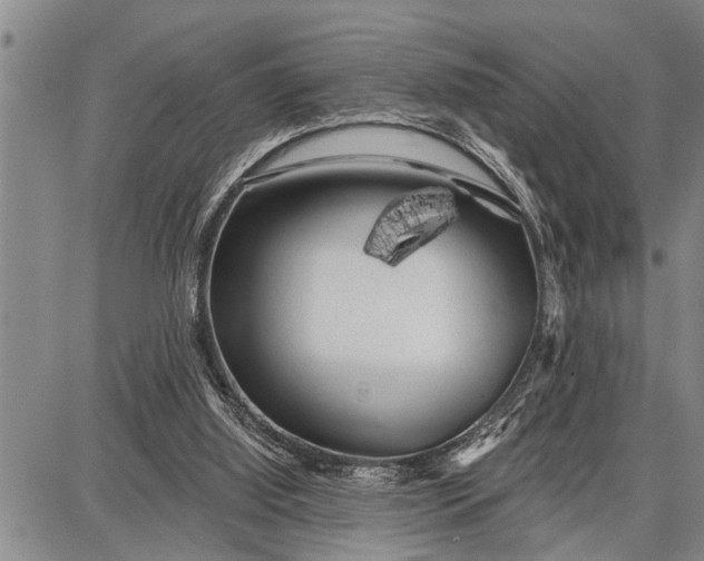 X0000087680060200705181740