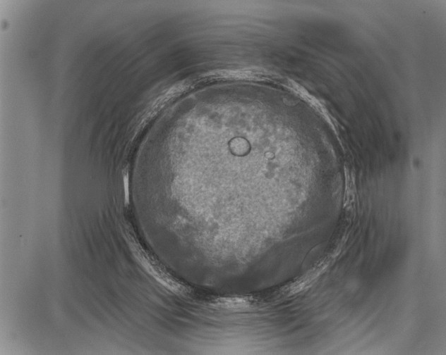 X0000087680061200705181740