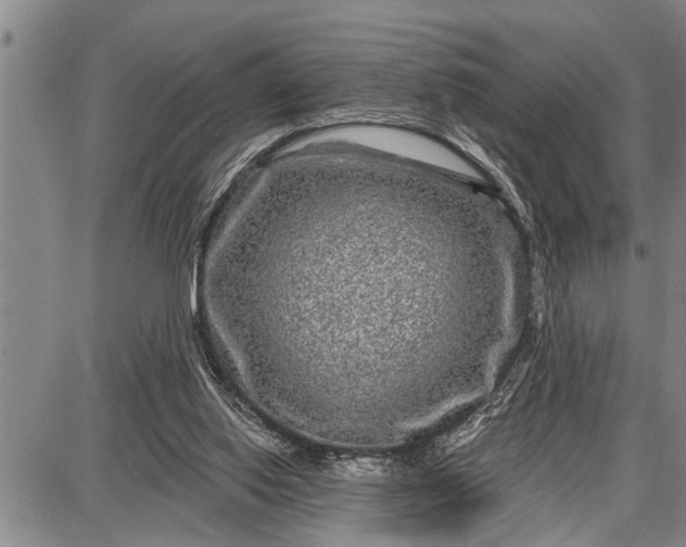 X0000087680062200705181740