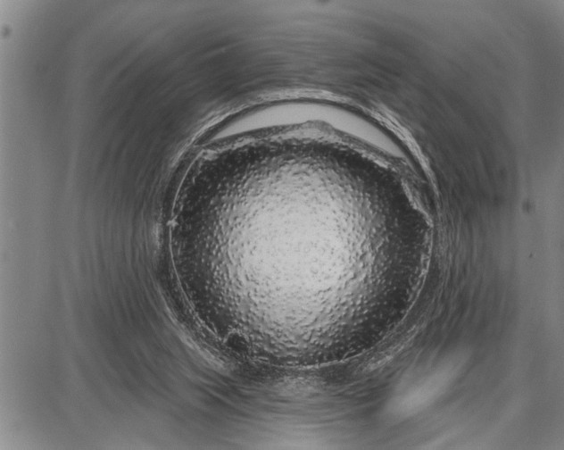 X0000087680063200705181740