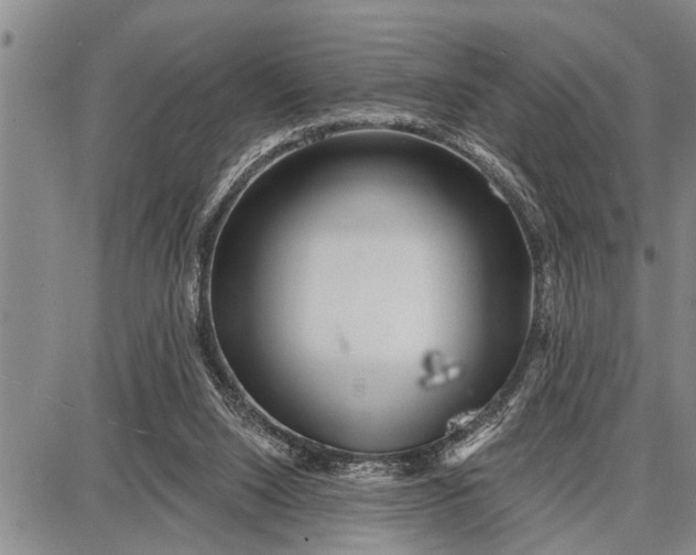 X0000087680064200705181740