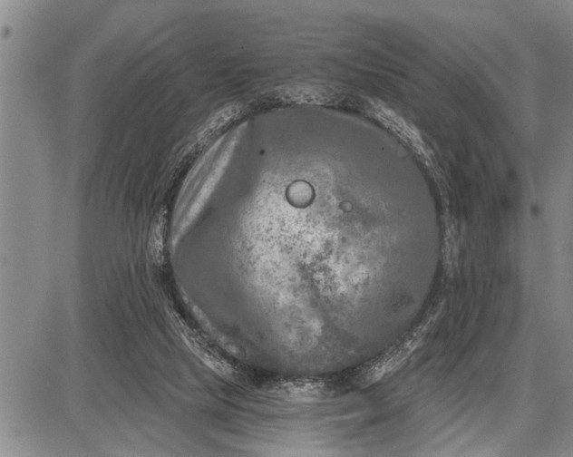 X0000087680065200705181740