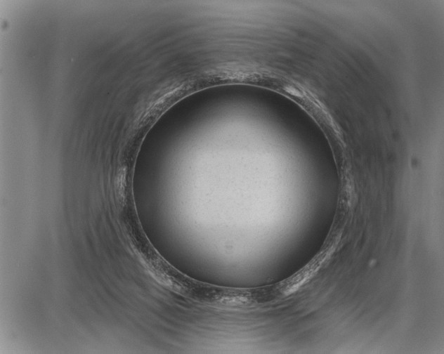 X0000087680066200705181740