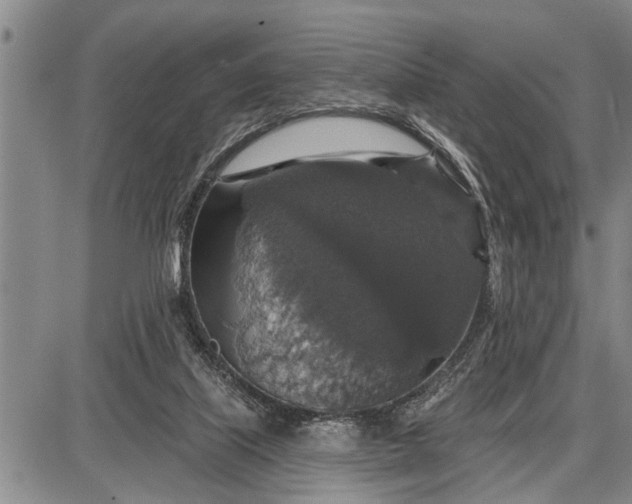 X0000087680067200705181740