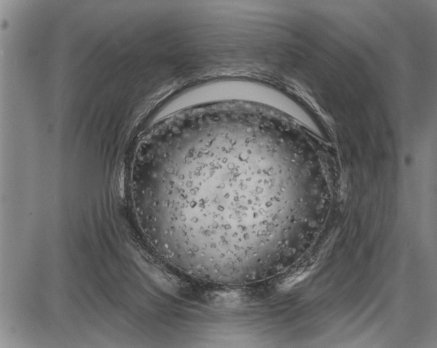 X0000087680068200705181740