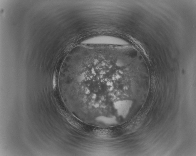 X0000087680069200705181740