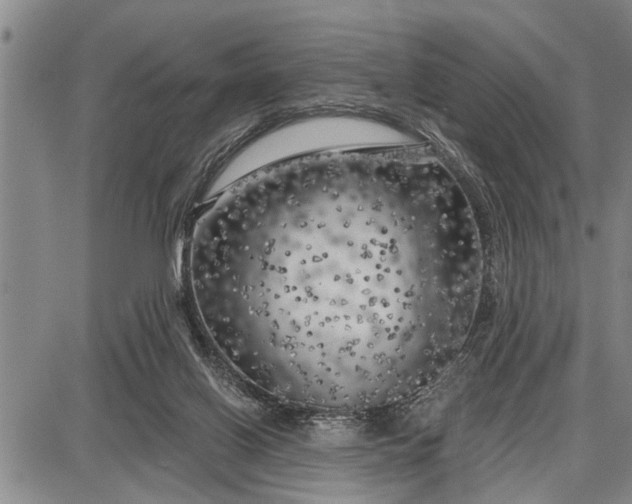 X0000087680070200705181740