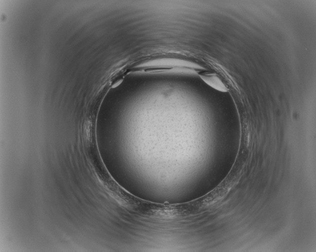 X0000087680071200705181740