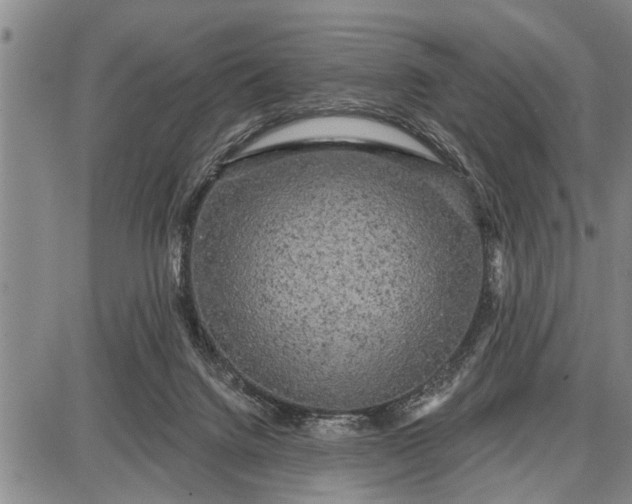 X0000087680072200705181740