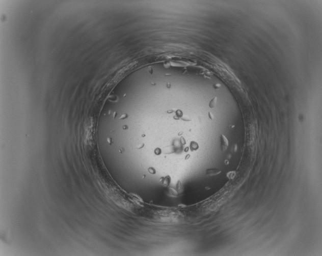 X0000087680073200705181740