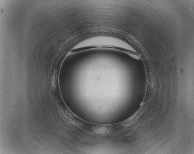 X0000087680074200705181740