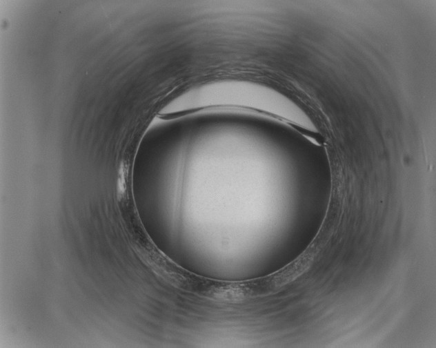 X0000087680075200705181740