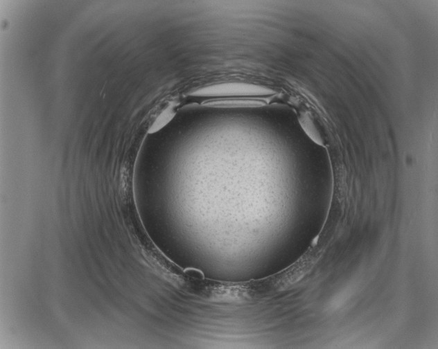 X0000087680077200705181740