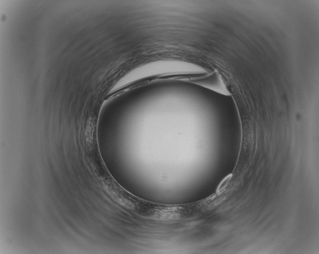 X0000087680078200705181740