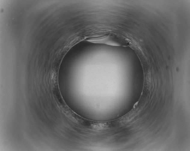 X0000087680079200705181740