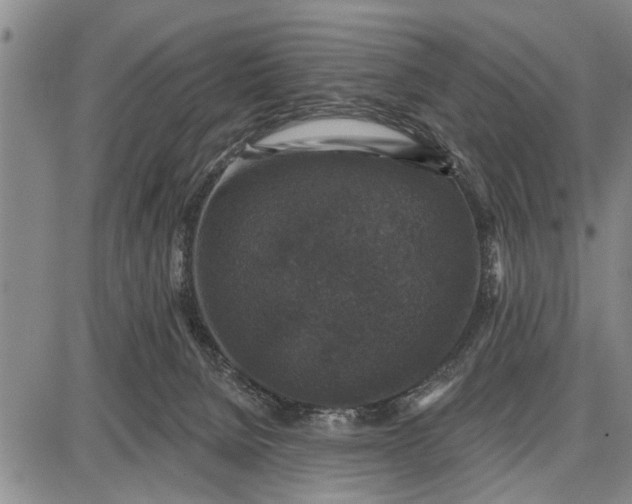 X0000087680080200705181740