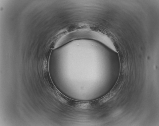 X0000087680081200705181740