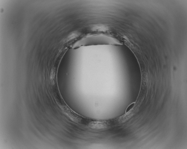 X0000087680082200705181740