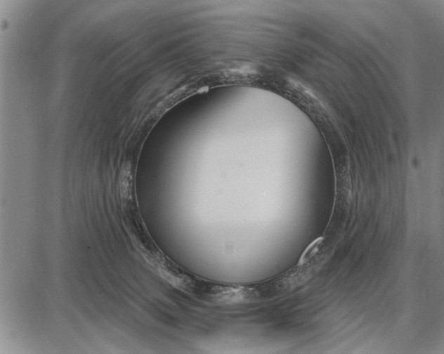 X0000087680083200705181740