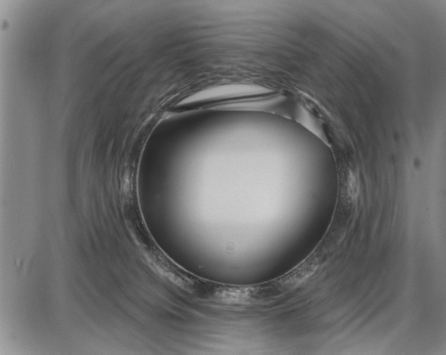 X0000087680084200705181740