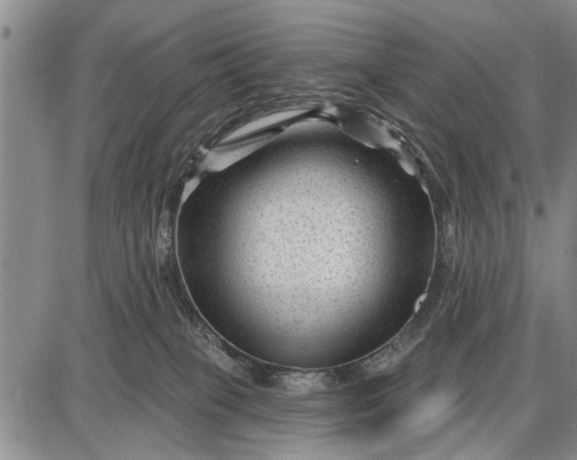 X0000087680085200705181740