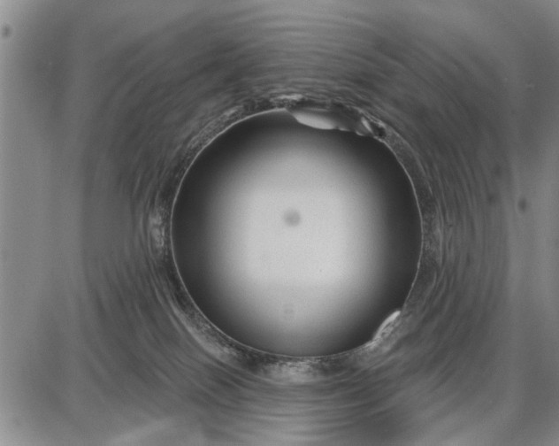 X0000087680086200705181740