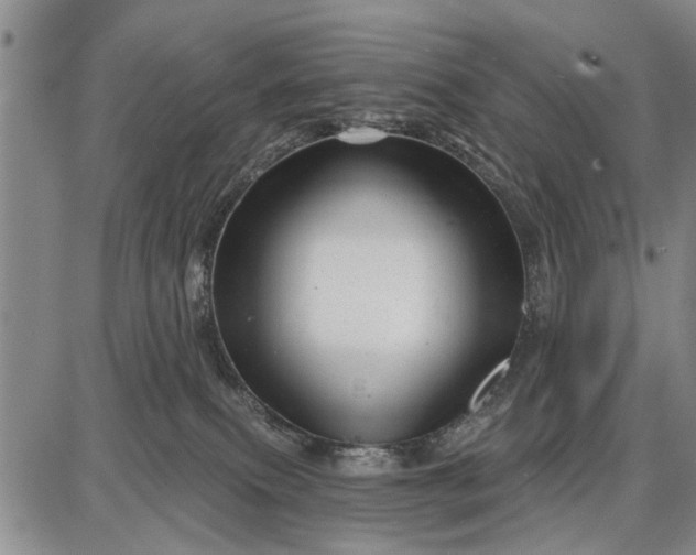 X0000087680087200705181740