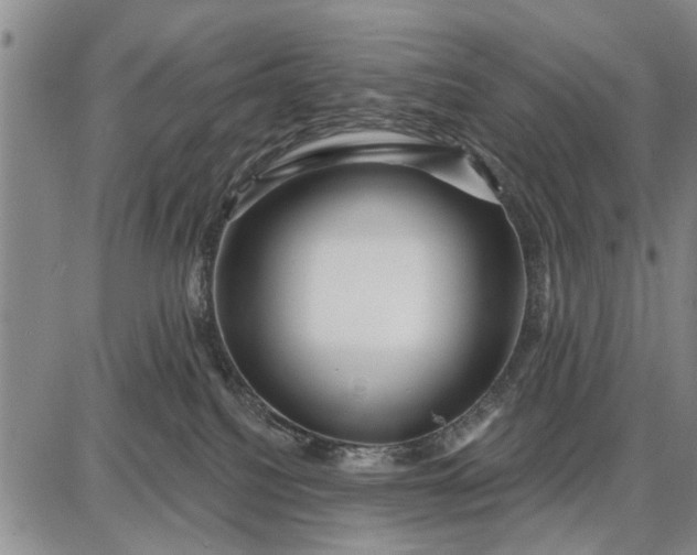 X0000087680088200705181740