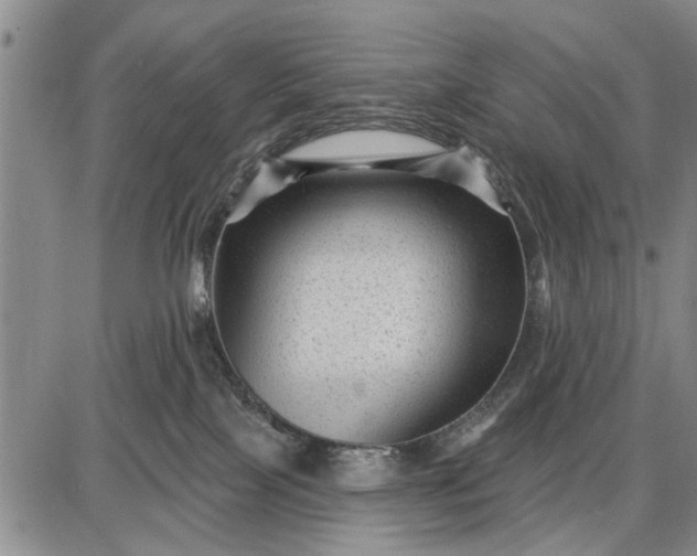 X0000087680089200705181740