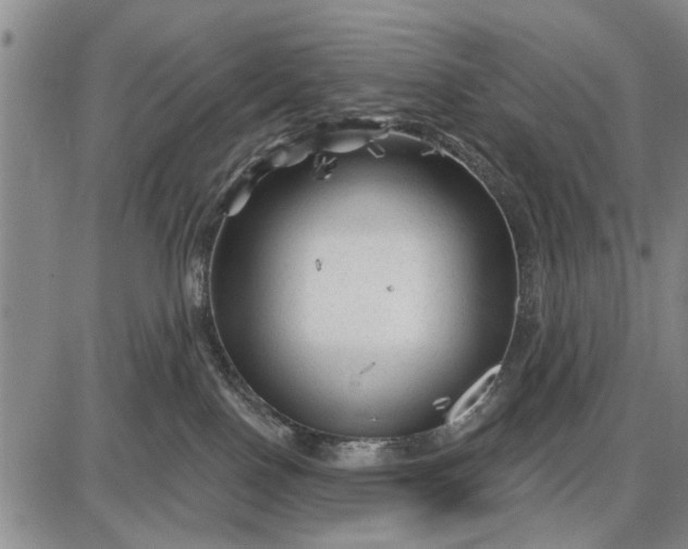 X0000087680090200705181740