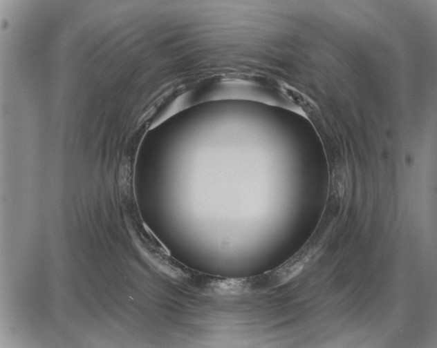 X0000087680092200705181740