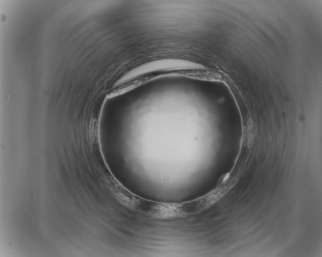 X0000087680093200705181740